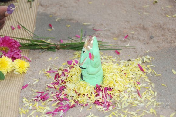 20090823_Photo_1050_DSC_1486_CMP_WM