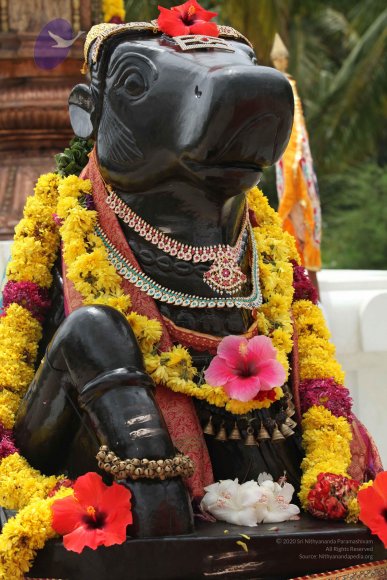 20090823_Photo_1085_IMG_6884_CMP_WM