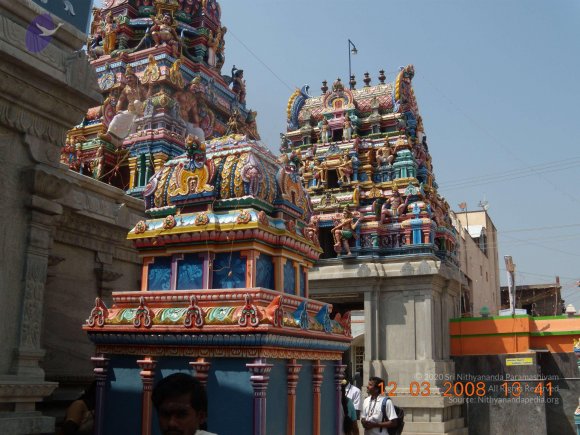 20090209_Photo_1027_DSCN0114_CMP_WM