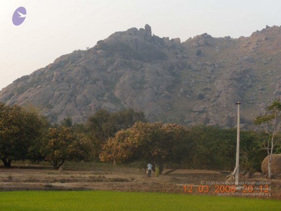 20090209_Photo_1034_DSCN0239_CMP_WM