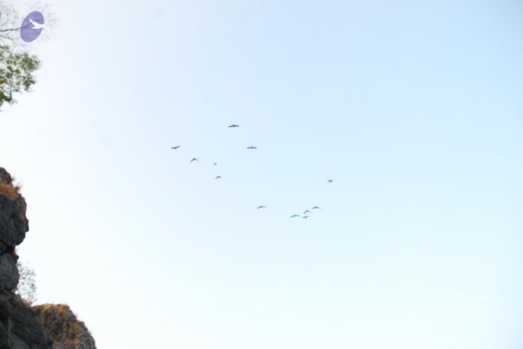 DSC_0002_CMP_WM