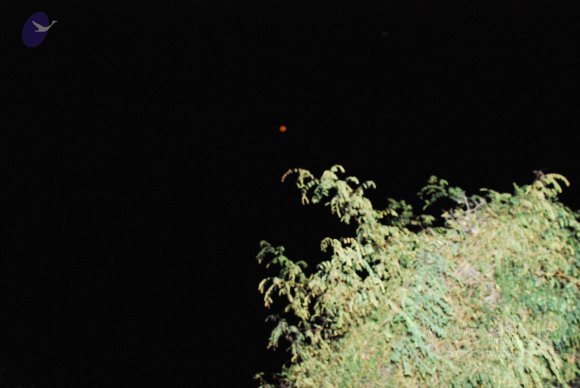 DSC_0188_CMP_WM