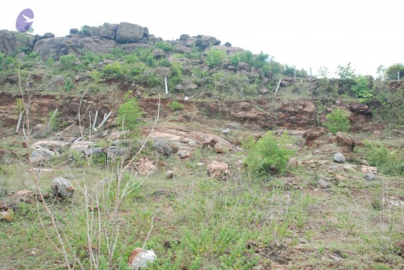 20090730_Photo_1019_DSC_0051_CMP_WM