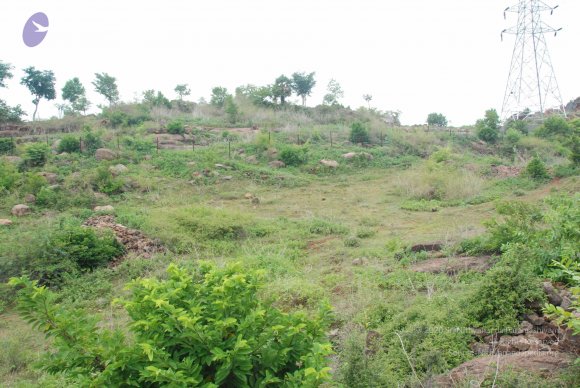 20090730_Photo_1025_DSC_0077_CMP_WM