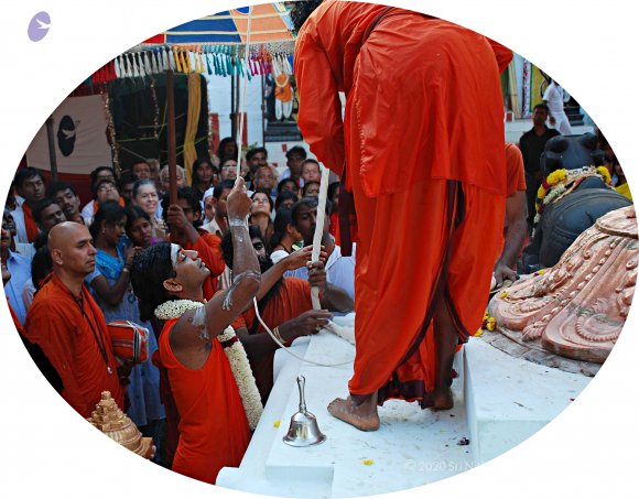 20090102_Photo_1061_DSC_1074_CMP_WM