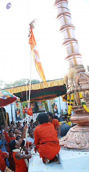 20090102_Photo_1064_DSC_1077_CMP_WM