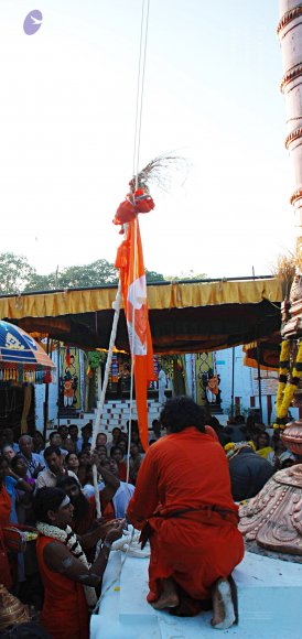 20090102_Photo_1071_DSC_1084_CMP_WM