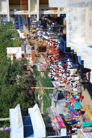 20090112_Photo_1368_DSC_0496_CMP_WM