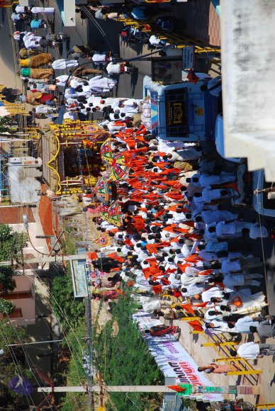 20090112_Photo_1541_DSC_0499_CMP_WM