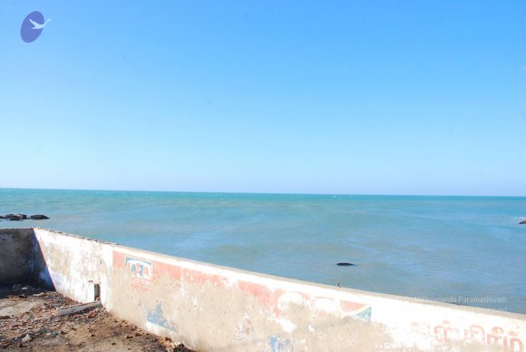 20090112_Photo_1587_Dx46 (36)_CMP_WM