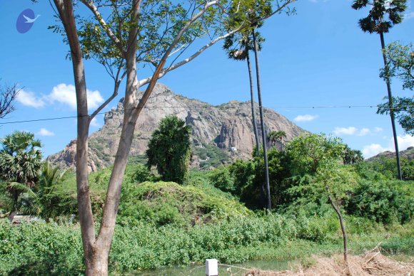 20090112_Photo_1234_DSC_0960_CMP_WM