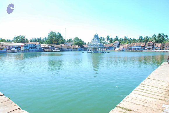 20090112_Photo_1289_DSC_1153_CMP_WM