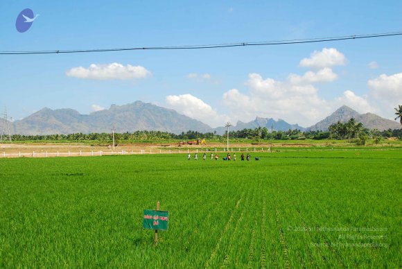 20090112_Photo_1298_DSC_1025_CMP_WM