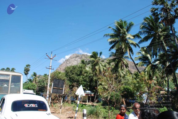 20090112_Photo_1423_DSC_0956_CMP_WM