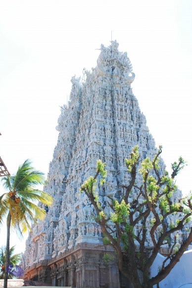 20090112_Photo_1504_DSC_1159_CMP_WM