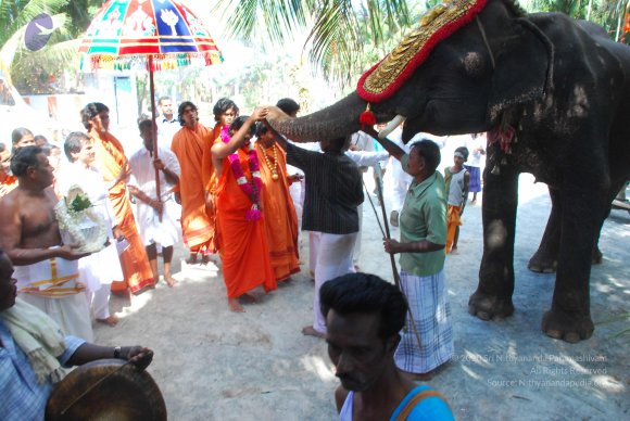 20090112_Photo_1034_DSC_1276_CMP_WM