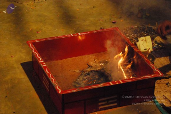 20090112_Photo_1003_DSC_1594_CMP_WM