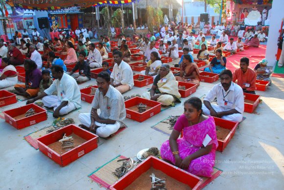 20090112_Photo_1036_DSC_1310_CMP_WM