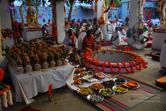 20090112_Photo_1090_DSC_1318_CMP_WM