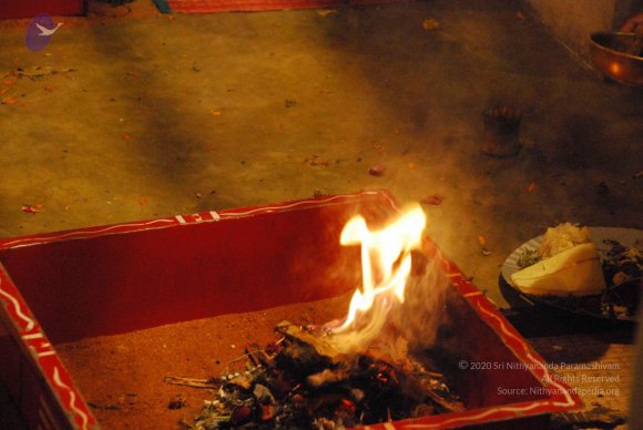 20090112_Photo_1145_DSC_1600_CMP_WM