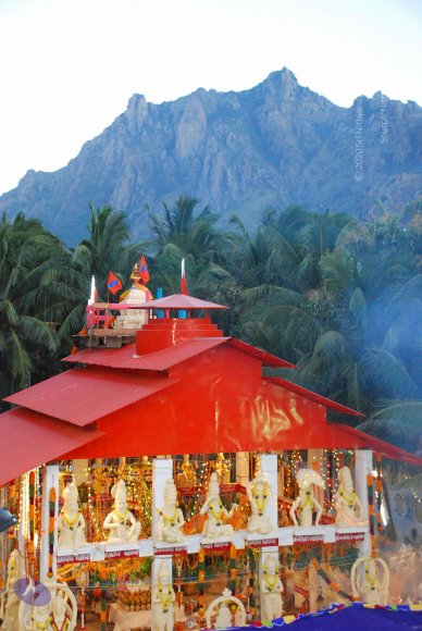 20090112_Photo_1255_DSC_1389_CMP_WM