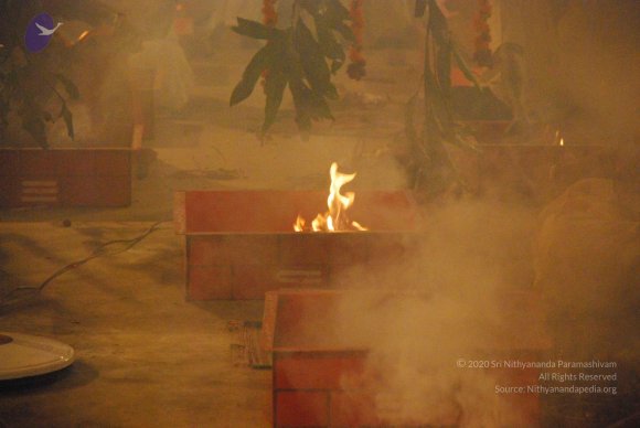 20090112_Photo_1274_DSC_1590_CMP_WM