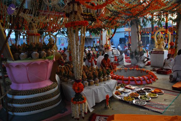 20090112_Photo_1275_DSC_1319_CMP_WM