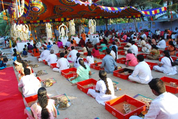 20090112_Photo_1318_DSC_1300_CMP_WM