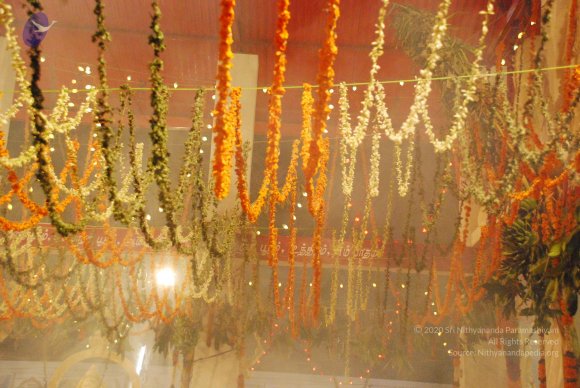 20090112_Photo_1332_DSC_1598_CMP_WM