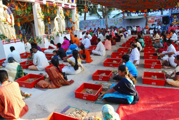 20090112_Photo_1345_DSC_1311_CMP_WM