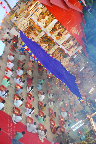 20090112_Photo_1350_DSC_1390_CMP_WM