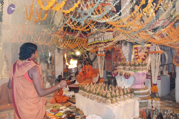 20090112_Photo_1381_DSC_1560_CMP_WM