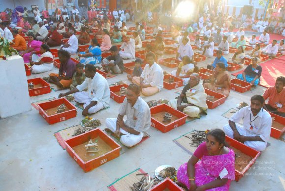 20090112_Photo_1397_DSC_1307_CMP_WM