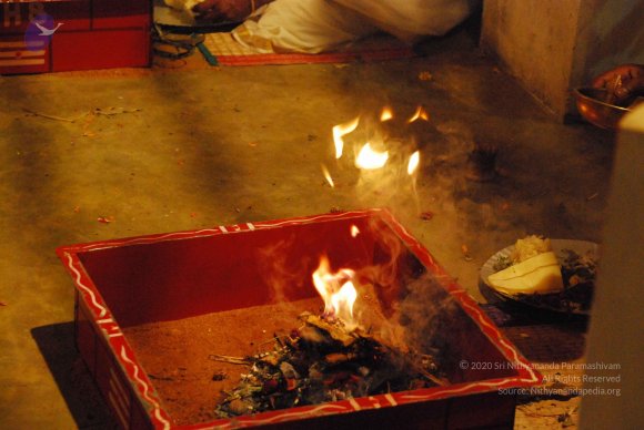 20090112_Photo_1440_DSC_1601_CMP_WM