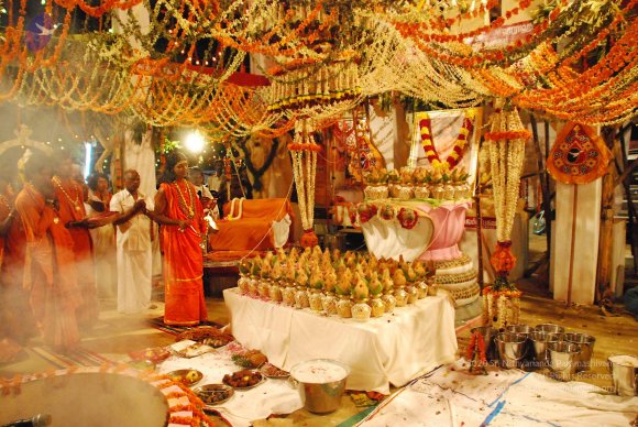 20090112_Photo_1073_DSC_1683_CMP_WM