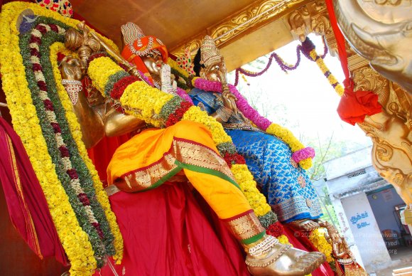 20090113_Photo_1041_DSC_0221_CMP_WM