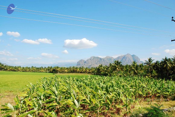 20090113_Photo_1045_DSC_2864_CMP_WM