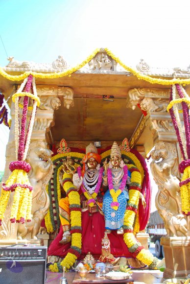 20090113_Photo_1050_DSC_0265_CMP_WM