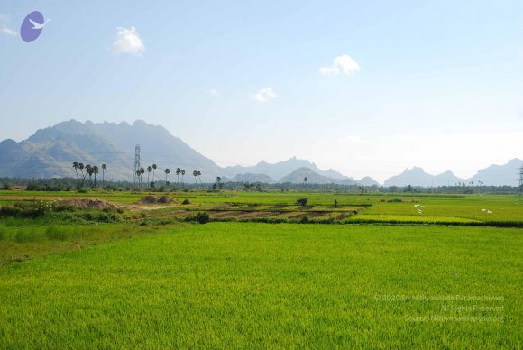 20090113_Photo_1064_DSC_2668_CMP_WM