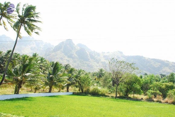 20090113_Photo_1125_DSC_0063_CMP_WM