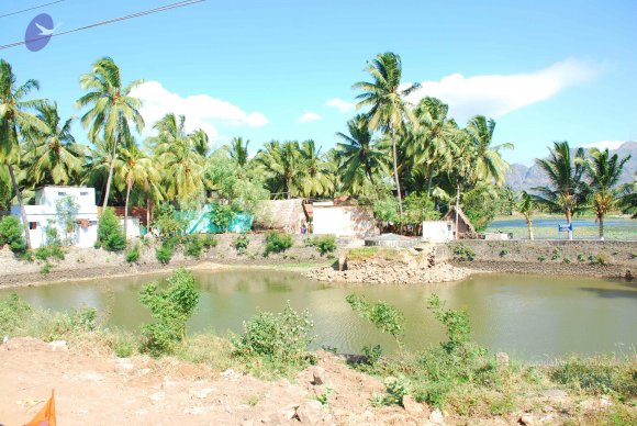 20090113_Photo_1198_DSC_2877_CMP_WM