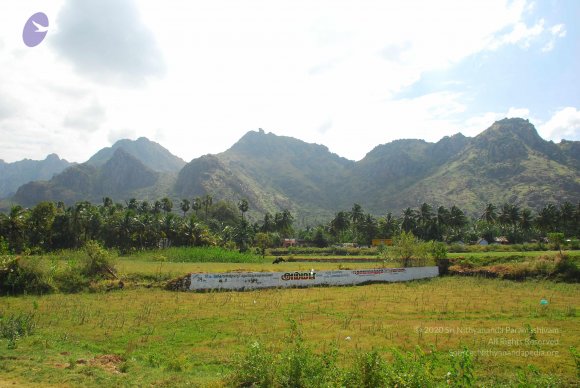 20090113_Photo_1212_DSC_0134_CMP_WM