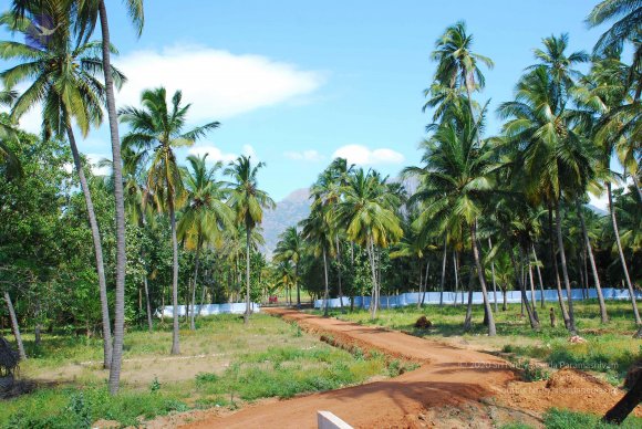 20090113_Photo_1341_DSC_0025_CMP_WM