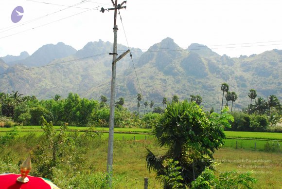 20090113_Photo_1382_DSC_0055_CMP_WM