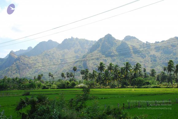 20090113_Photo_1388_DSC_0037_CMP_WM