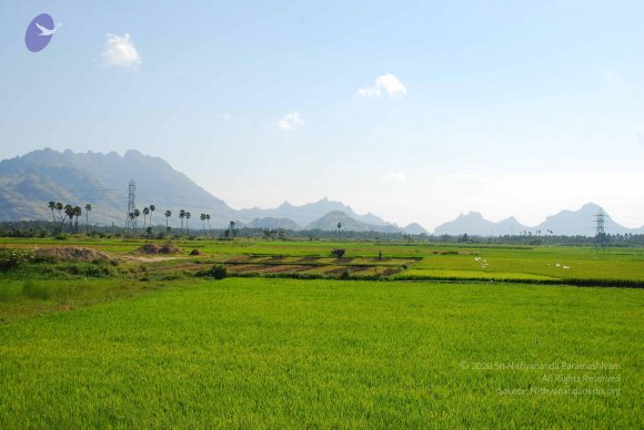 20090113_Photo_1494_DSC_2669_CMP_WM