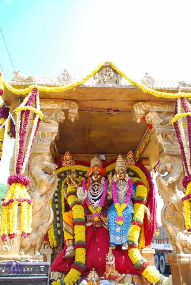 20090113_Photo_1506_DSC_0264_CMP_WM