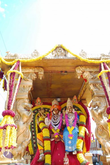 20090113_Photo_1569_DSC_0263_CMP_WM