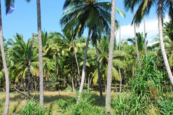 20090113_Photo_1625_DSC_0013_CMP_WM