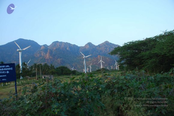 20090113_Photo_1044_DSC_0751_CMP_WM